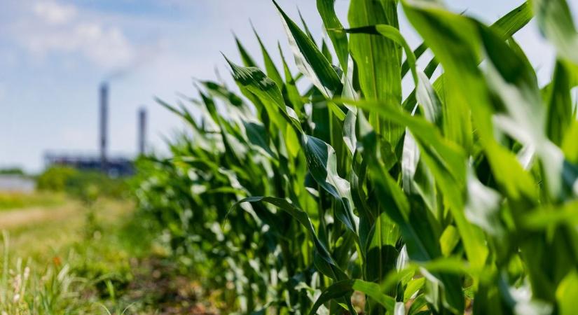 Az agrárium aktuális kihívásairól beszélnek majd a gazdafórumon