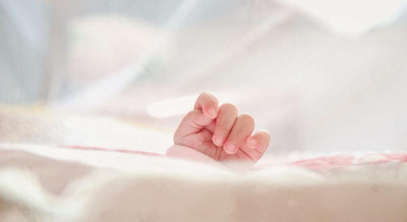 Gyermekvédelmi „biznisz” – A Babamentők szerint kifejezetten szegény családokat vesznek célba