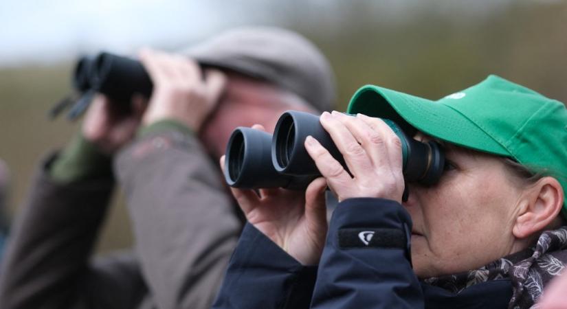A madarak megfigyelése javíthatja az agy egészséget és védhet a kognitív hanyatlás ellen