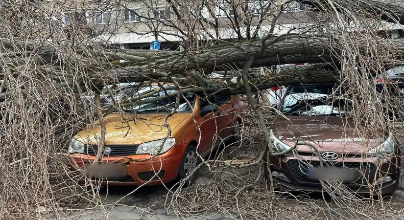 „Négy évem munkája ment a kukába” – zokogva nézte kettétört kocsiját Enikő