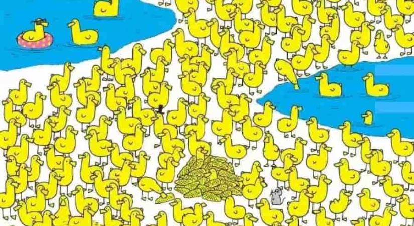 Ez az optikai illúzió megosztja az internetet: csak a legélesebb szeműek szúrják ki a csibét 15 másodperc alatt