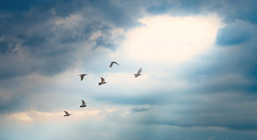 Amikor a gondolkodás alagúttá szűkül… – így törhetsz ki a kognitív torzításból