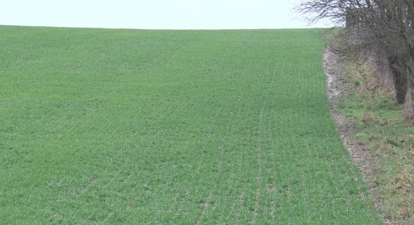 Csapadék, hóolvadás, talajvíz: mit mutat Mátyás napja?