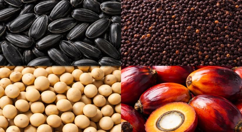 Nem nőnek tovább a növényolajárak