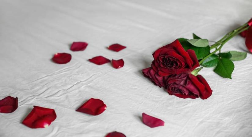 Milliók nézték ezt a villát a tévében, most eladó: ennyibe kerül az ikonikus szerelmi fészek