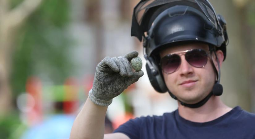 Együtt kell élni a kolóniákban városba települő károgókkal – gyakorlatilag elveszítettük a háborút a varjakkal szemben