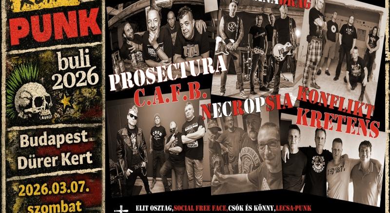 Koncert közben gyűjt otthontalan macskáknak a C.A.F.B. zenekar frontembere