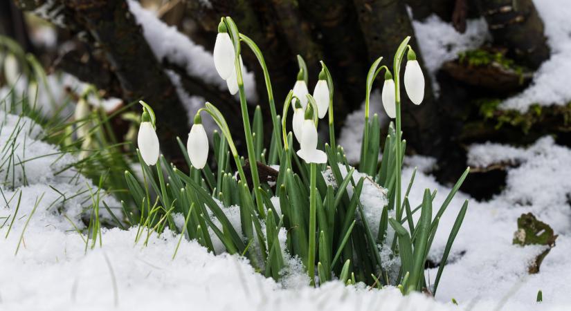 Mátyás ront, ha talál, ha nem talál, csinál