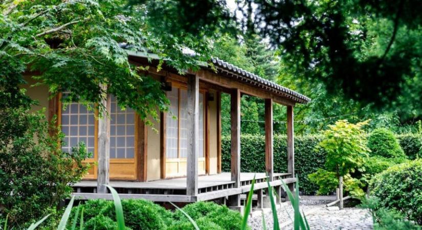 Faházat szeretnél építeni idén tavasszal? Íme, néhány nagyszerű ötlet, ami segít elindulni