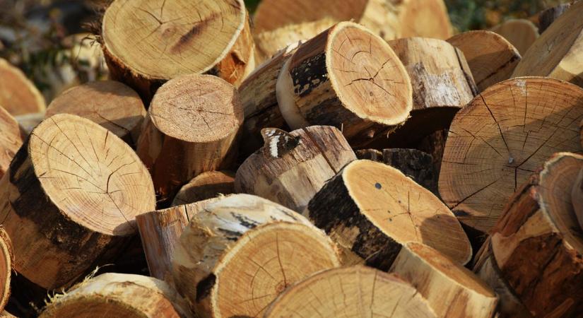 Figyelem! Ismét akcióban a tűzifacsalók az online térben