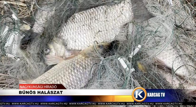Vádat emeltek öt kínai férfi ellen, akik nyakzóhálóval halásztak Szolnokon