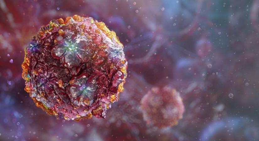 Már Magyarországon is elérhető a chikungunya-vírus elleni védőoltás