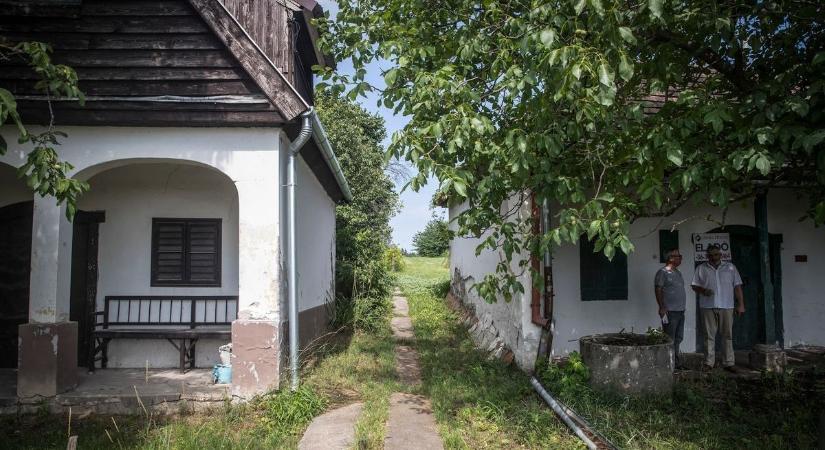 Ingyen papírozhatja át a kertjét – Most kell lépni, hogy spóroljon!