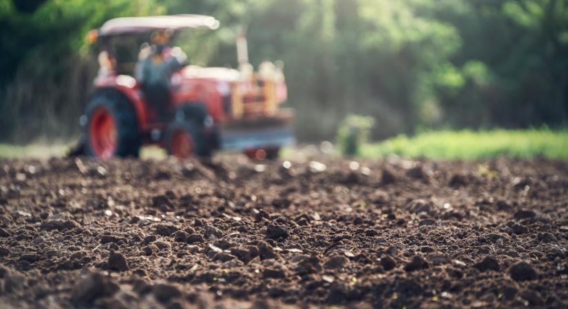 Van megoldás a méregdrága műtrágya helyett: sok gazda már így csinálja