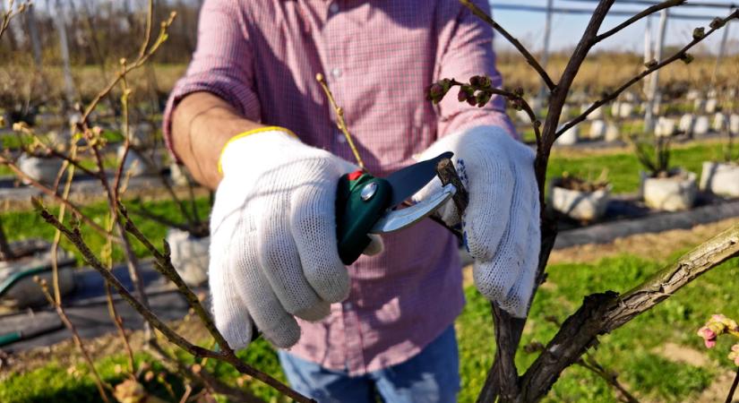 Új szabályok az alkalmi munkánál