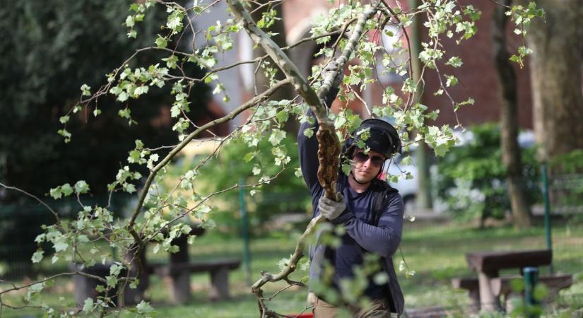 Meglepő fordulatot tartogat az időjárás: tavaszias meleg vagy jeges szél vár ránk?
