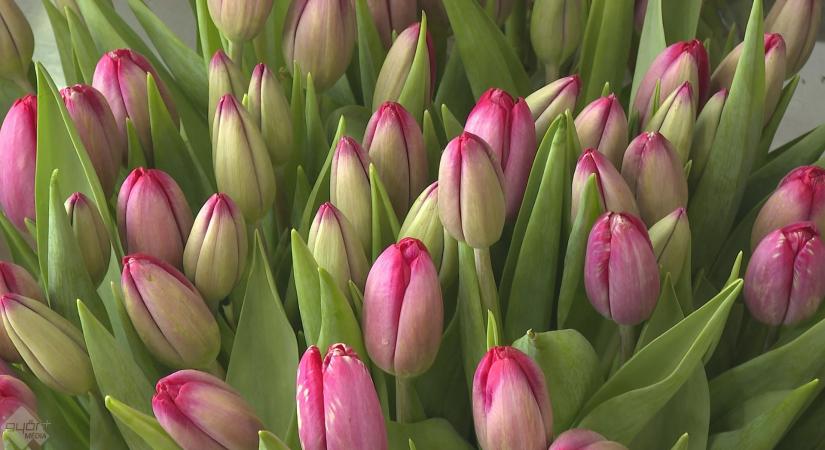 Nemzetközi vagy éppen keresztény, a nőnap évszázadok óta ünnep