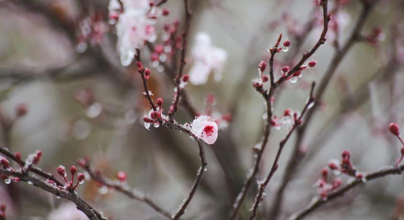 Kettős arcát mutatja az időjárás: kisüt a nap, de éjjel csontig hatoló hideg jön