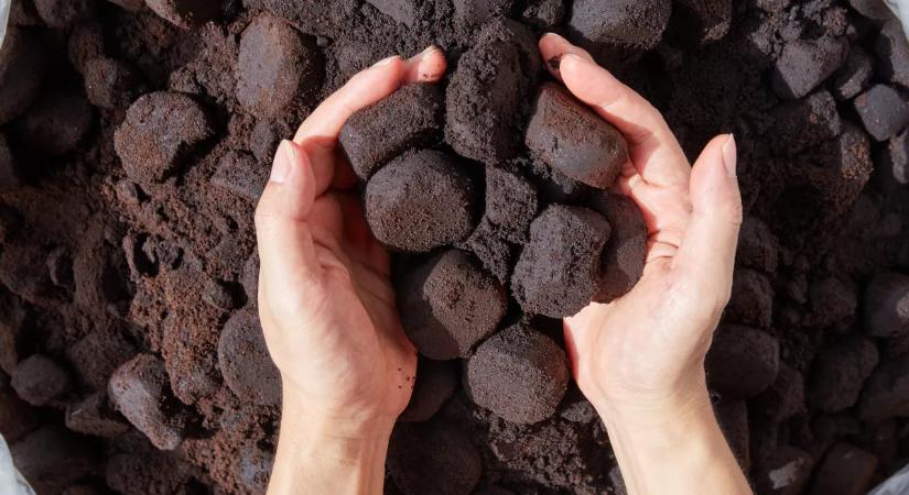 Ezért tegyél kávézaccot a WC-be mielőtt nyaralni mész