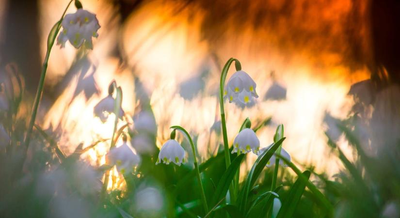 Enyhülő, többnyire napos idő a hét második felében