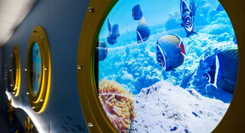 A nap képe: tengeralattjáró kaland várja a kis pácienseket a Semmelweis Egyetemen