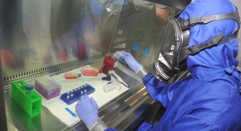 Ez a járvány előszobája? Négy Debrecenben talált test is hordozta a fertőzést