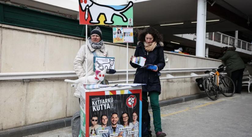 Nehéz küszöbnek tűnik a kispártoknak az ajánlásgyűjtés