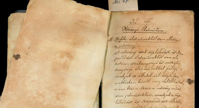 Több tízezer oldalas erdélyi magyar kéziratállományt tett online kutathatóvá az MTA