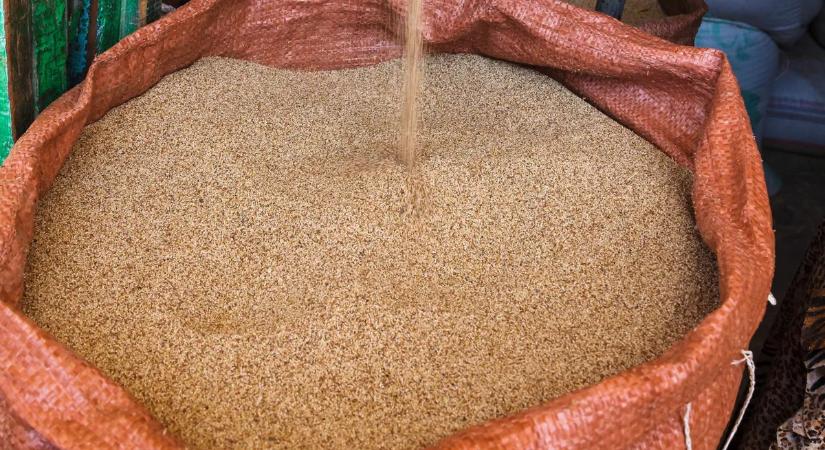 Erre a szupergabona fogyasztására esküsznek az olimpiai bajnokok is