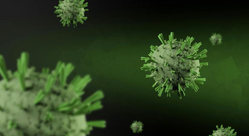 Halálos, fertőző kór tombol Budán - egyre több az áldozat