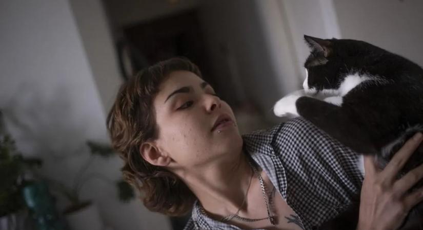 Kitüntetett tengerész lett a hős macska