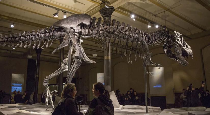 Hátborzongató: 95 millió évvel ezelőtt élt, titokzatos fajt fedeztek fel a Szaharában