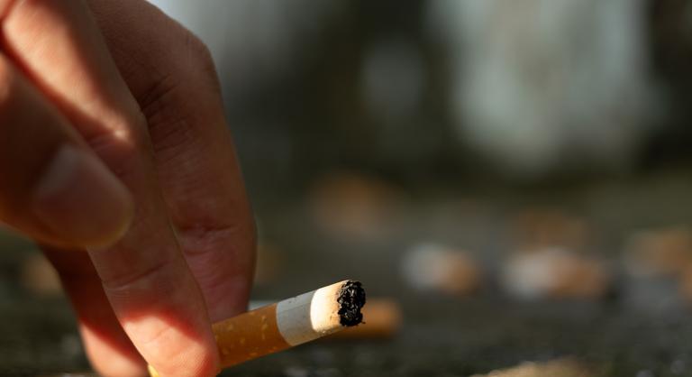 Egy eldobott cigarettacsikk leplezte le a tinédzser lány gyilkosát