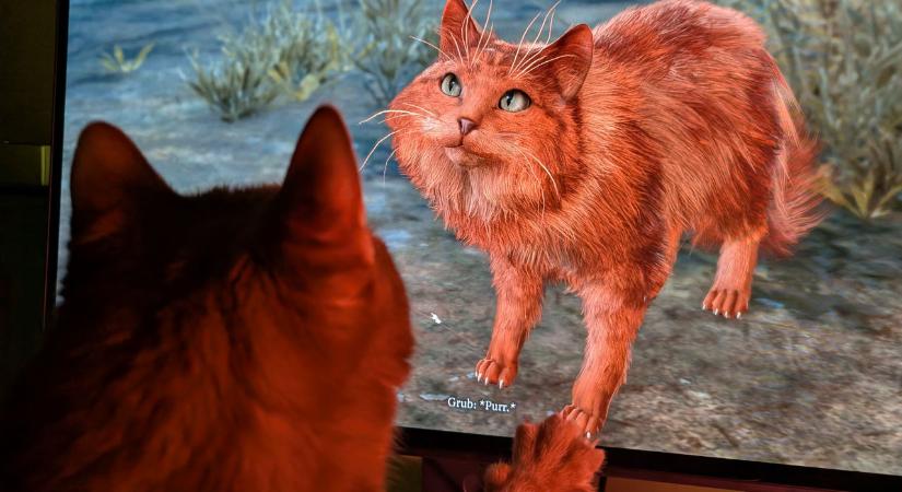 LG UltraGear 27GX790A – OLED technológia 480 Hz-en, új mérceként a gamer monitorok között