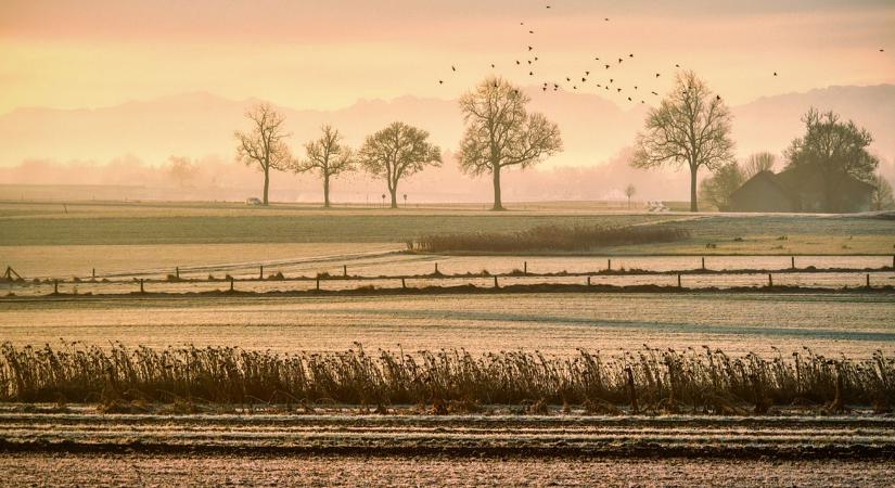 3 napos előrejelzés: Veszélyben a fagyérzékeny növényzet, mutatjuk, hol lesz a leghidegebb