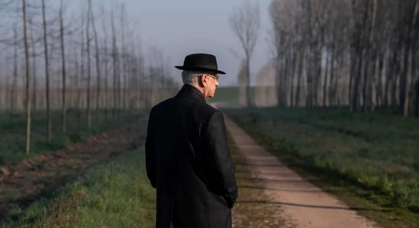 Egy összetört elnöki szív a mozikban: A kegyelem lett Sorrentino nagy visszatérése