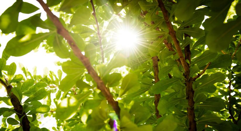 Itt a tavasz! Ideje eltenni a télikabátot