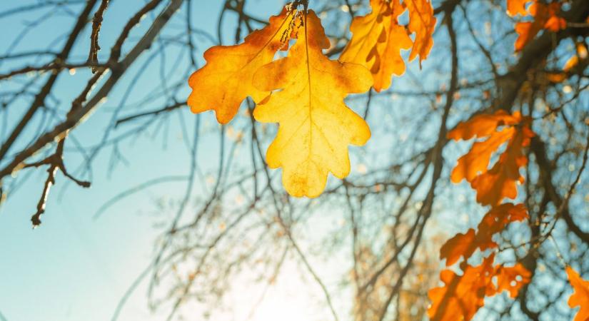 Többórás napsütésre készülhetünk szerdán