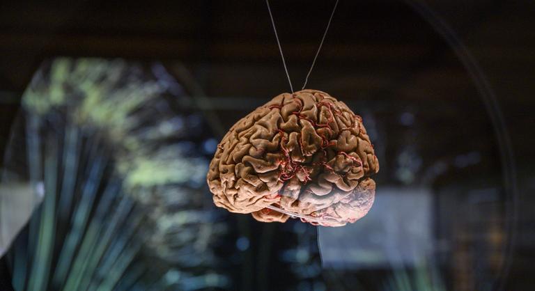 Az egész univerzumhoz kapcsolódhatunk az agyunkkal?