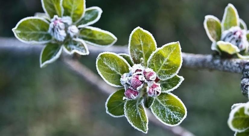 Megbolondult az időjárás: újabb havazás és fagy, majd hirtelen tavasz jön – Mutatjuk, mikor!