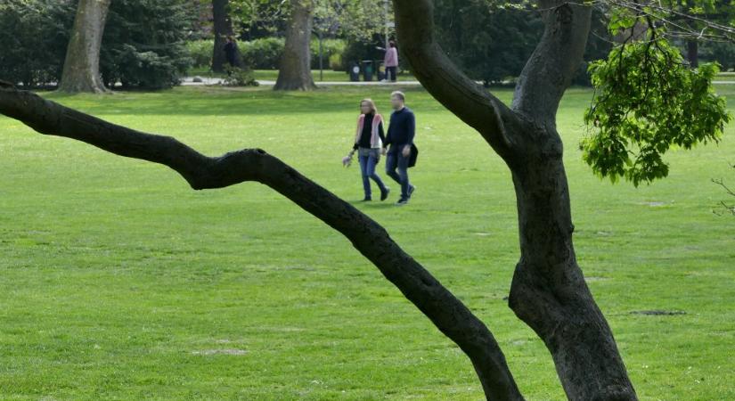 Napsütést és 14 fokos meleget hoz a szerda