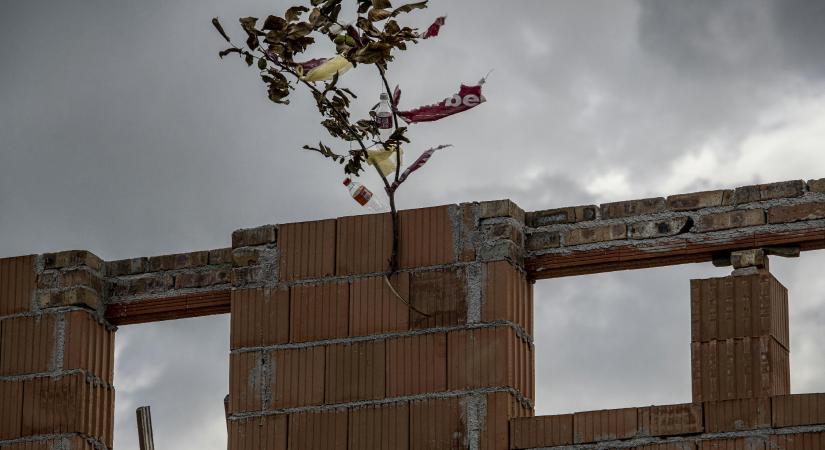 Annyira nem mernek költeni a cégek Magyarországon, hogy az hazavágja a teljes gazdaságot