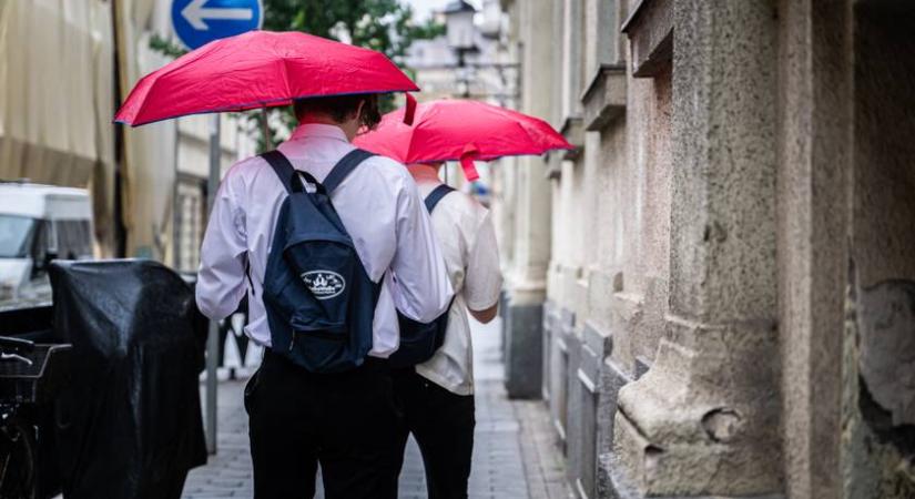 Igaz vagy hamis kvíz történelemből: menni fog az iskolai tananyag?