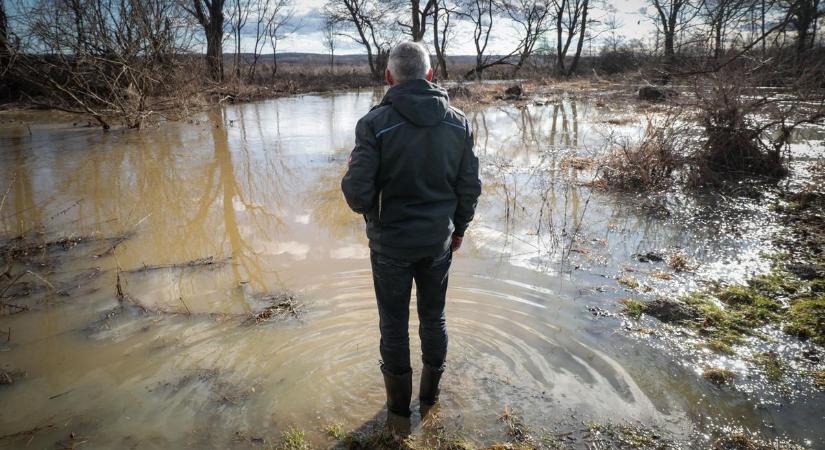 Árvízveszély: a hódok gátja miatt duzzad a Vörös-patak Gasztonynál