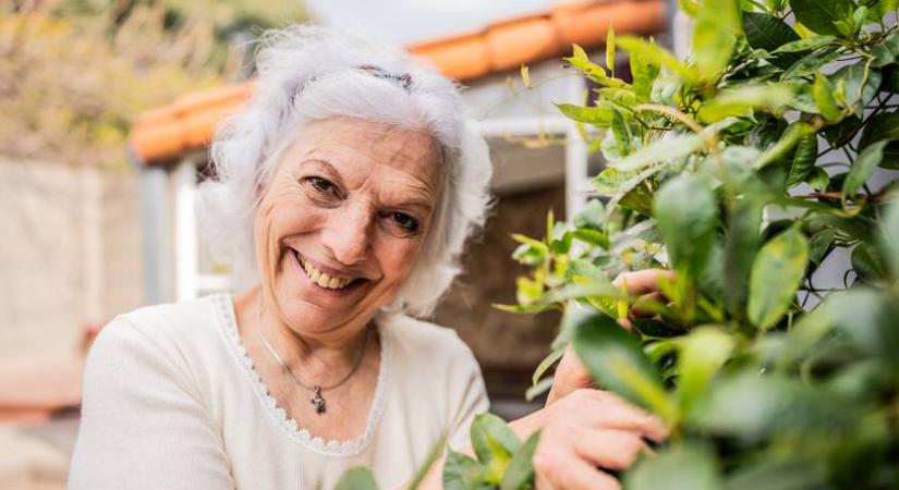 Véd a demencia ellen, csökkenti a stresszt, és fitten tart: elég hozzá kilépni a házból