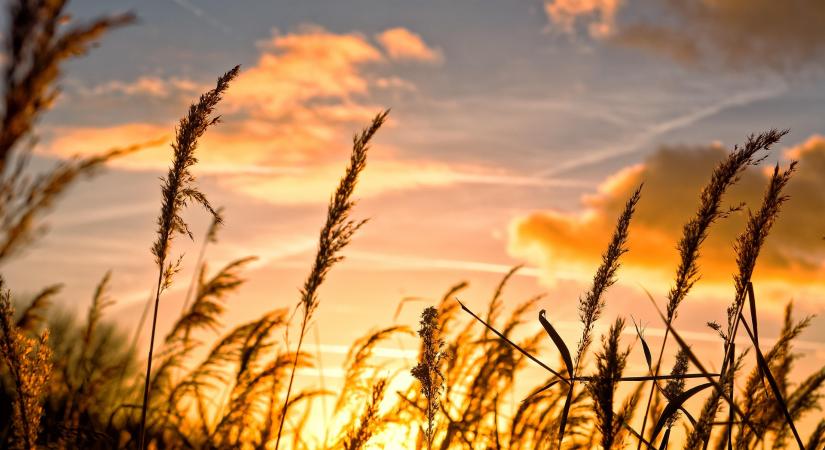 Változóan napos, szeles idő várható