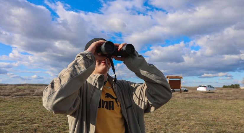 Olyat láttak az ásotthalmi réteken a diákok, amit csak pár napig lehet megcsodálni