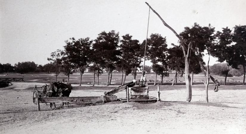 Kvíz: emlékszel ezekre a régi szavakra? Te is a legműveltebbek közé tartozol?