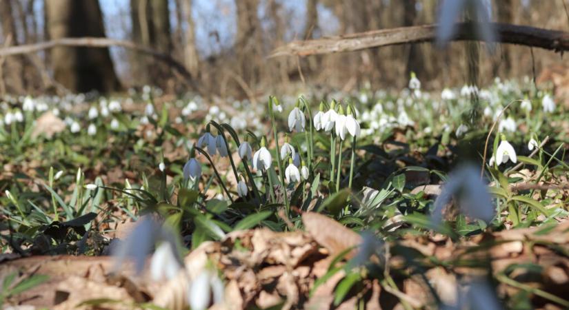 Fokozatosan érkezik az enyhülés és a napsütés