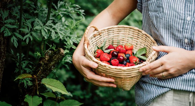 7 tavaszi íz, ami természetesen energiát ad a testednek